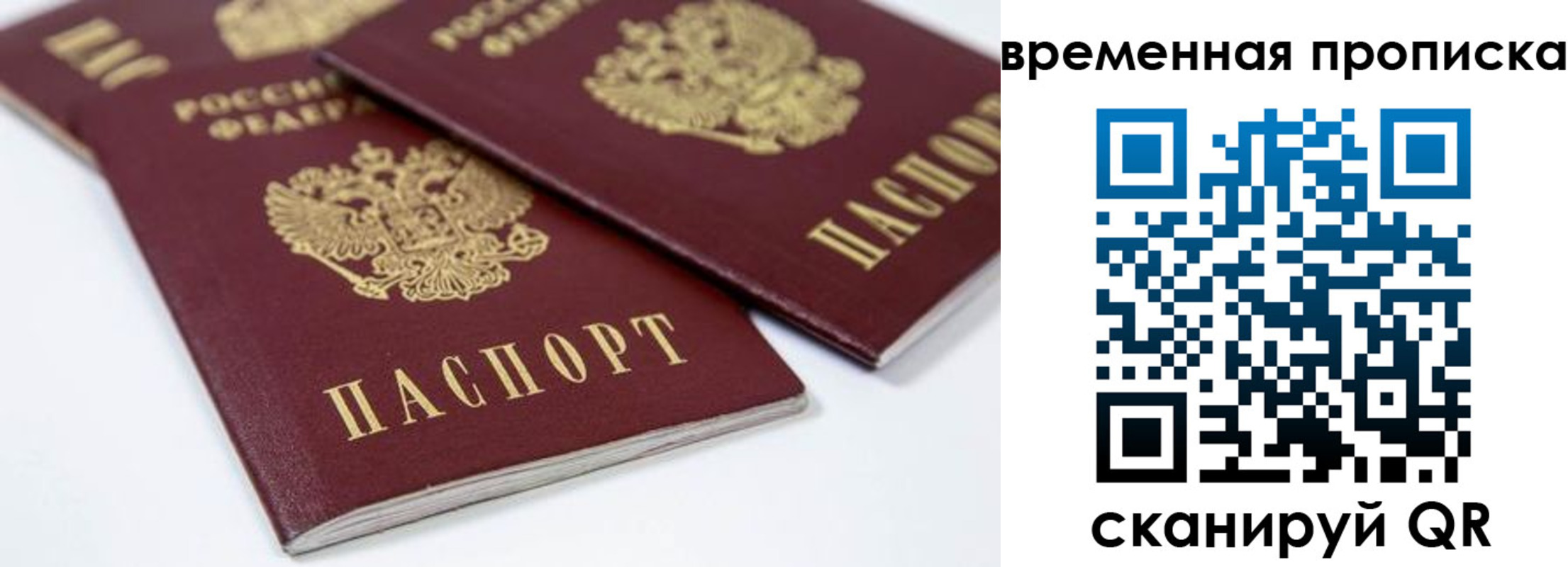 прописка для школы в Кохме